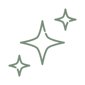 sparkle icon